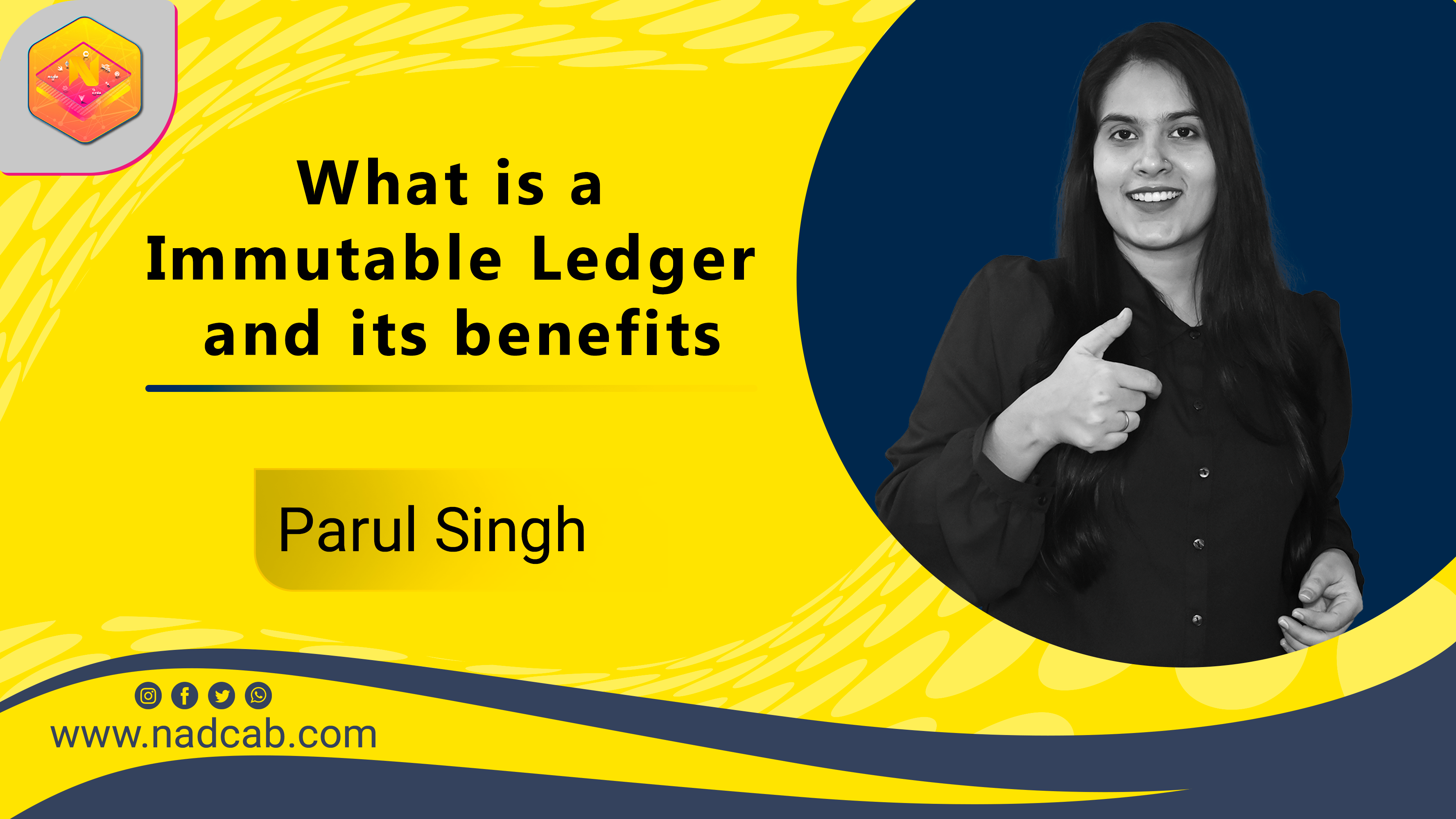 What is a Immutable Ledger and its benefits ?