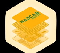Aman Vaths Founder of Nadcab Technology