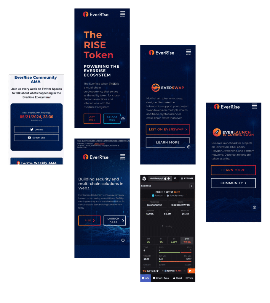 EverRise Blockchain