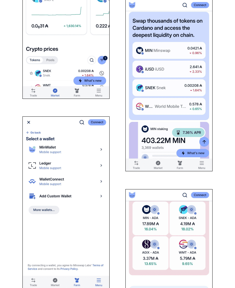 Minswap Decentralized Exchange Challenge