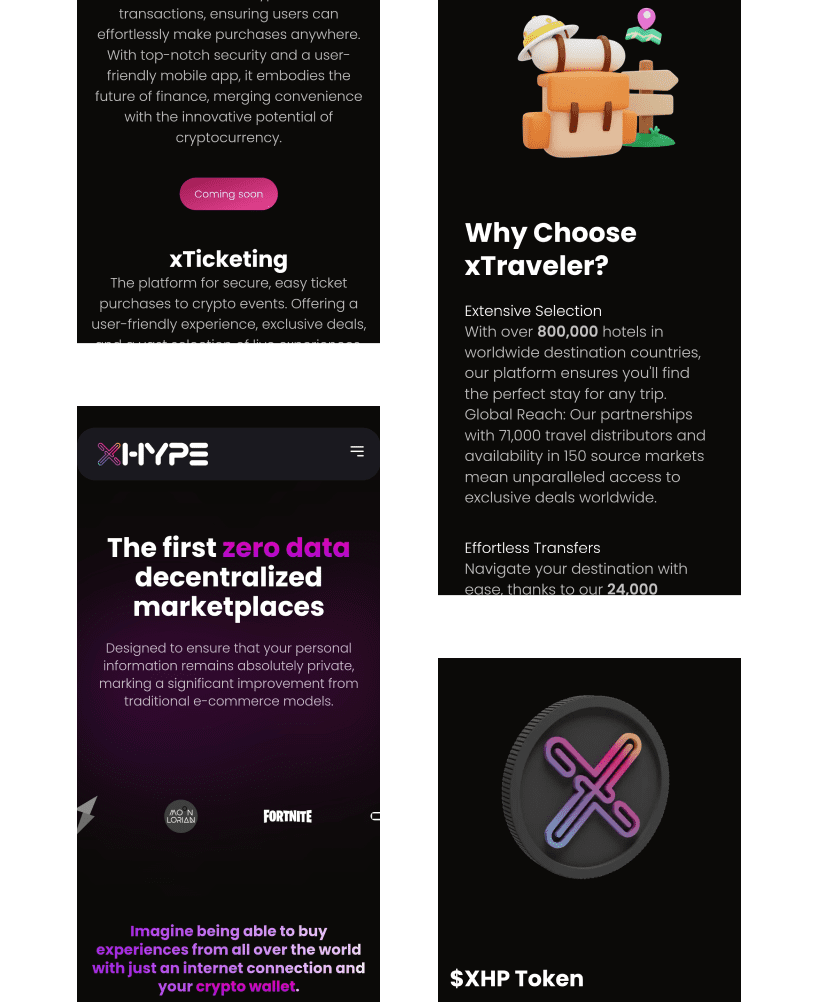 Xhype project approach result