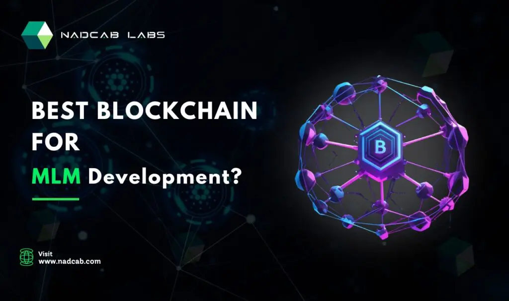 MLM Development
