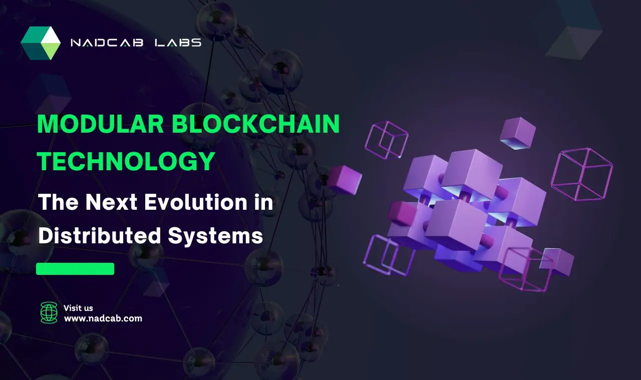 Modular Blockchains