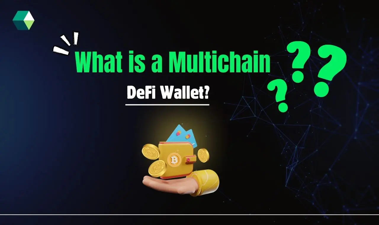 Multichain DeFi Wallet