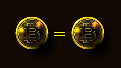 Factors for Bitcoin Fungibility
