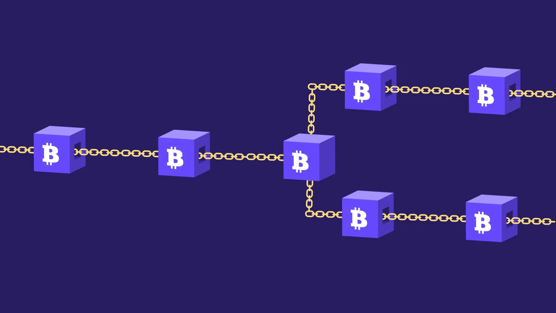 Bitcoin Chain Split