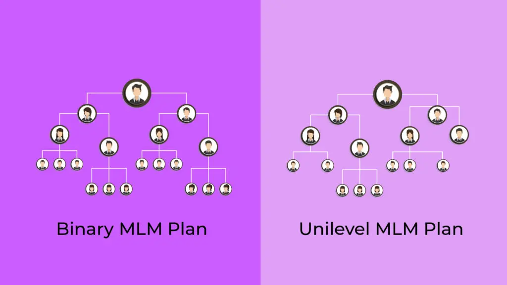 Unilevel MLM Plan and Binary MLM Plan