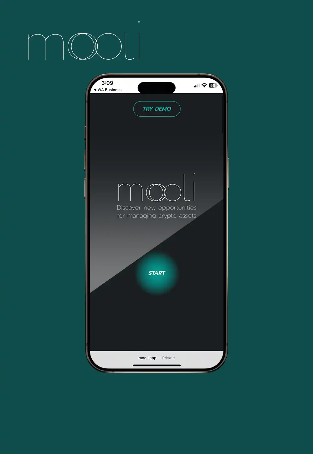 Mooli Asset