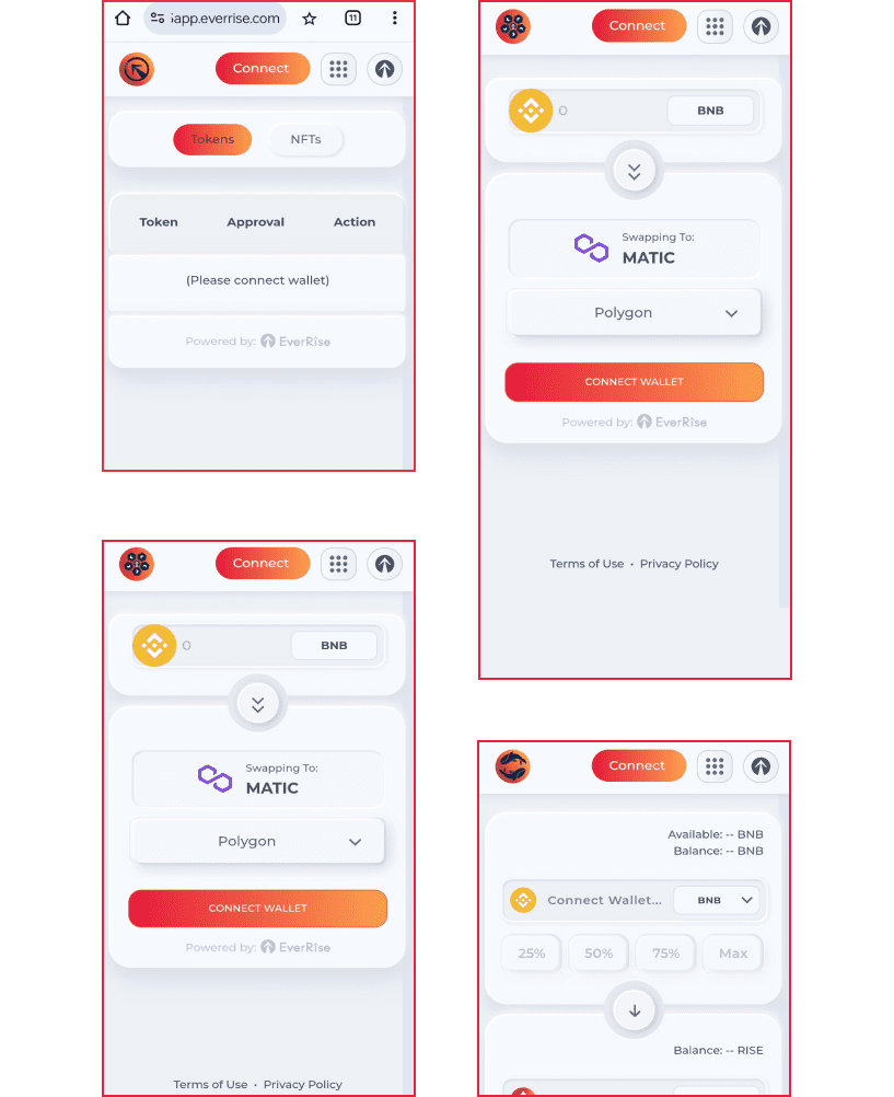EverRise Challenges