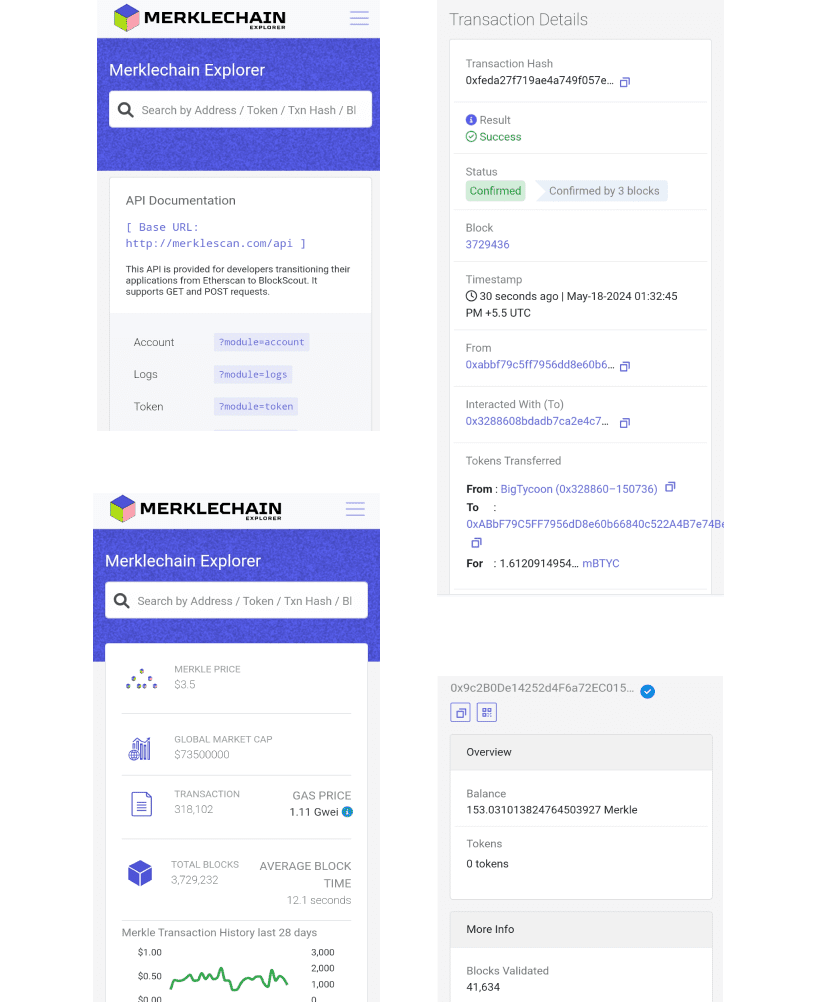 MerkleScan Project Approach & Results