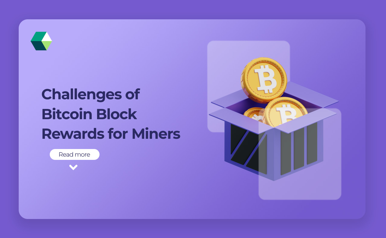 Challenges of Bitcoin Block Rewards for Miners