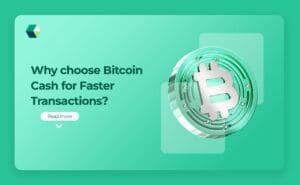 Bitcoin Cash
