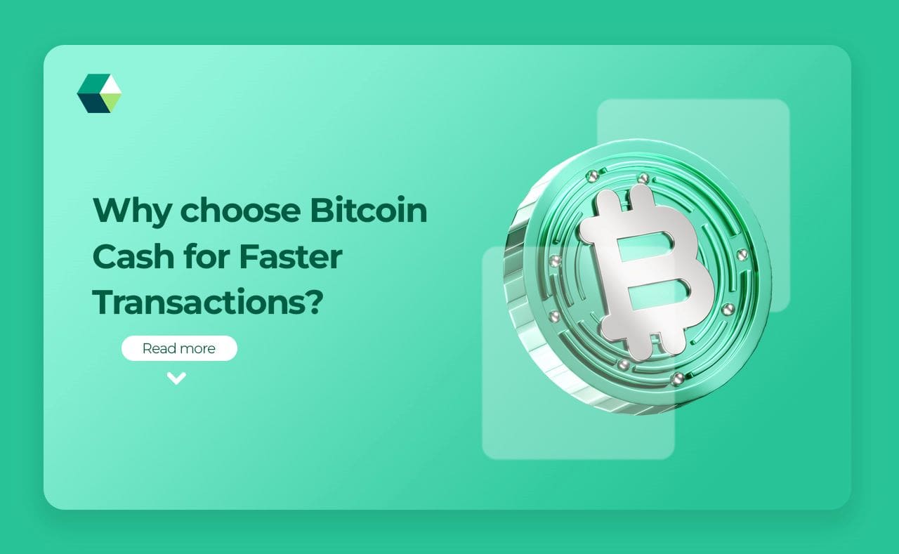 Bitcoin Cash