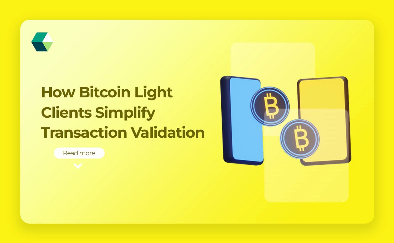 How Bitcoin Light Clients Simplify Transaction Validation