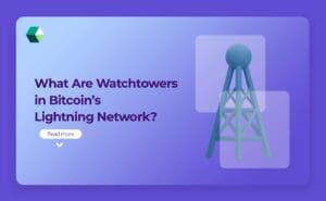 Bitcoin lightning Network