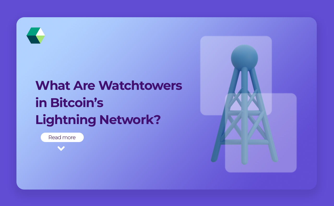 Bitcoin lightning Network