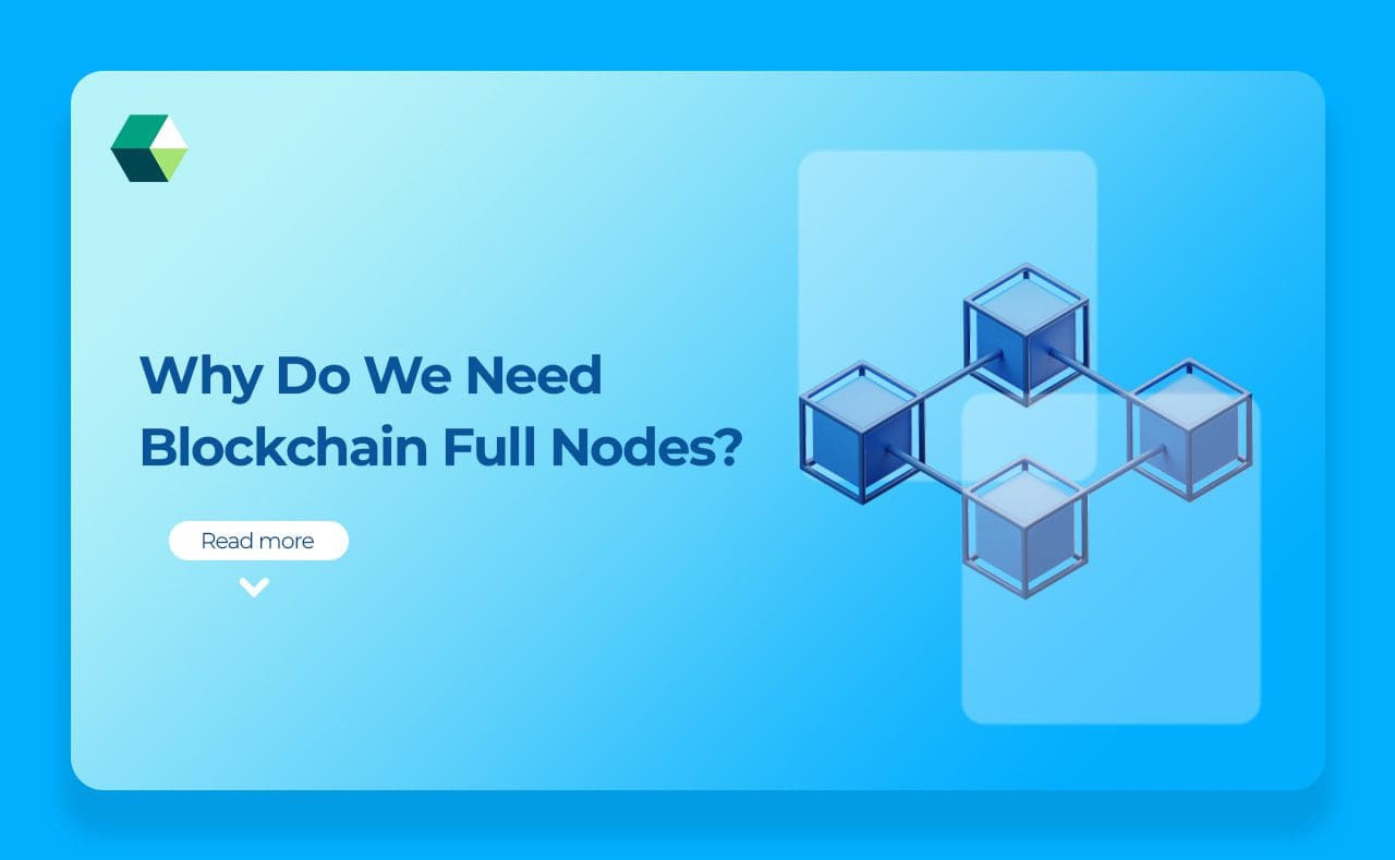 Why Do We Need Blockchain Full Nodes?