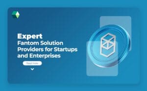 expert-fantom-solution-providers