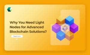 Light Nodes
