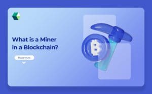 Miner in Blockchain
