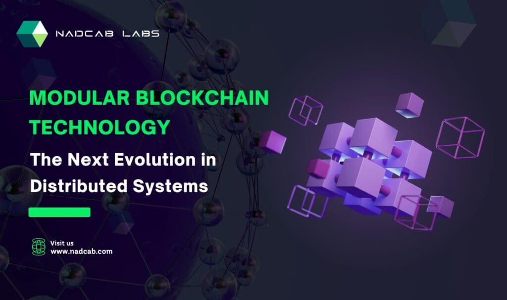 Modular Blockchains