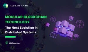 Modular Blockchains
