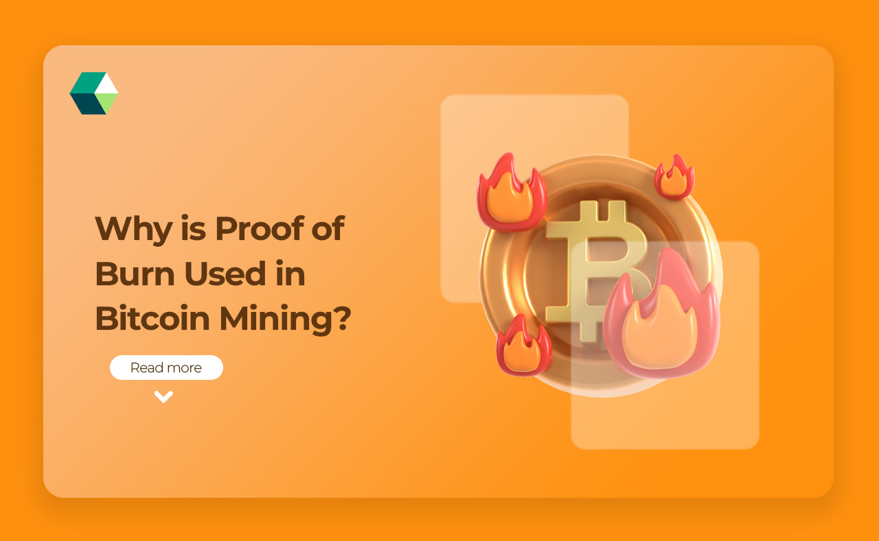 Why is Proof of Burn in Bitcoin Mining?