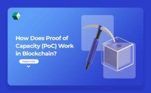 proof of capacity (poc) work in blockchain