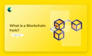 What is Fork in Blockchain Development?