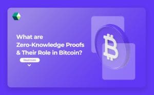zero-knowledge-proofs-in-bitcoin