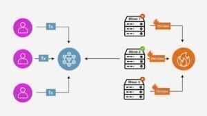 What Is the Process Behind Proof of Burn in Blockchain