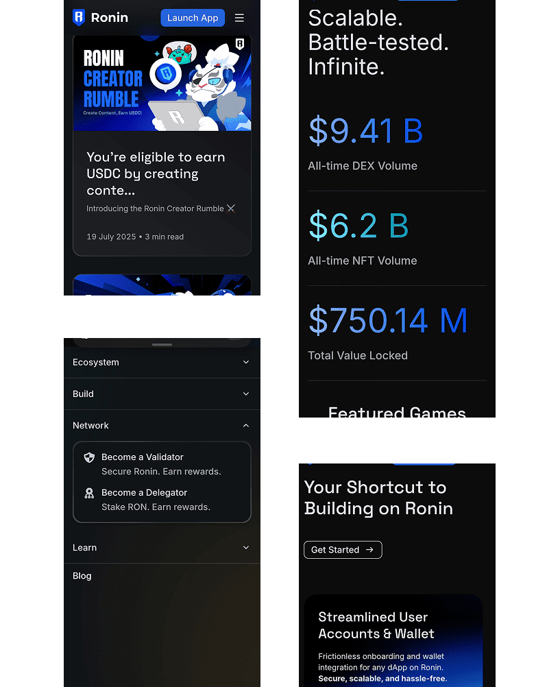 Roninchain Project Approach