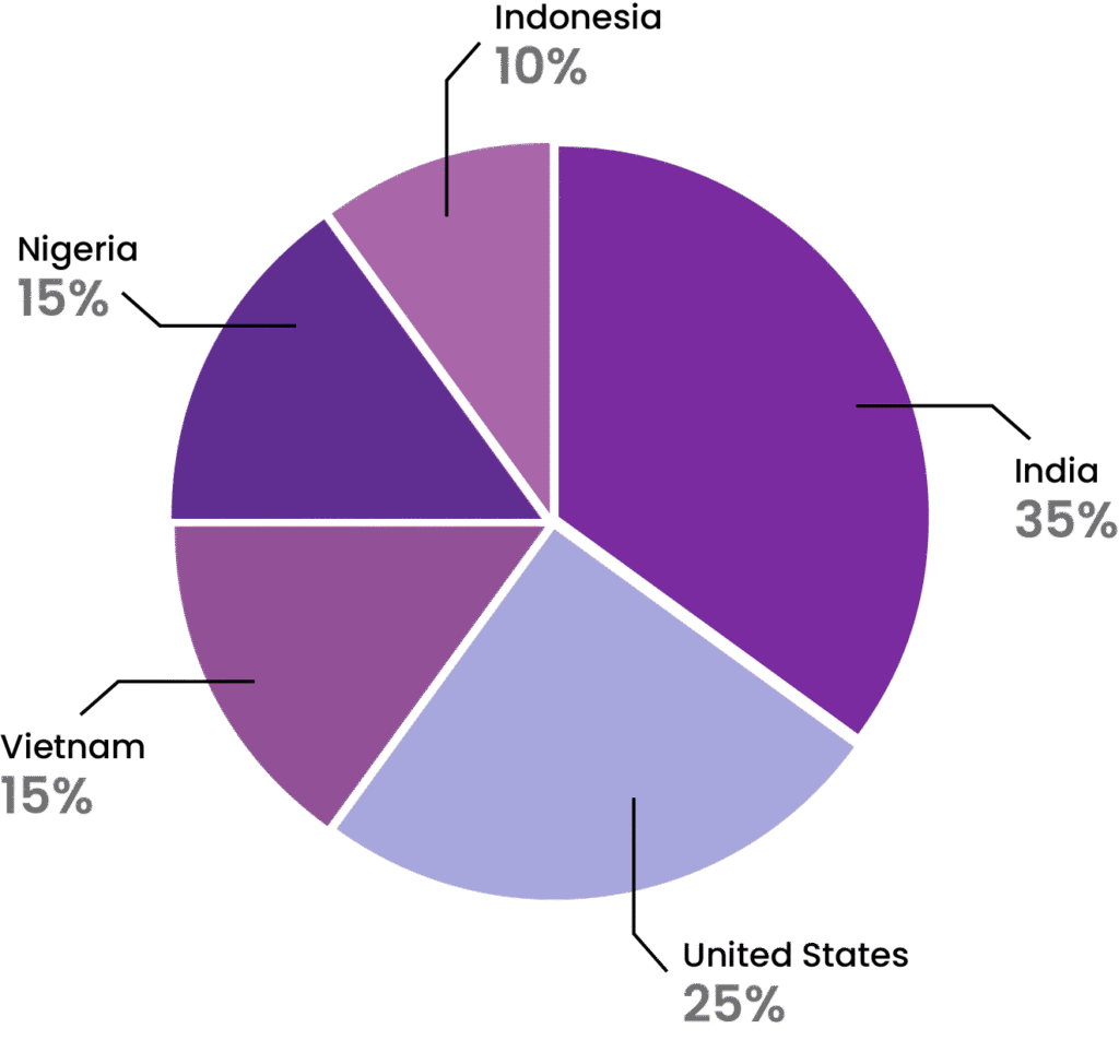 Chart showing which countries have the highest custodial wallets adoption rates.