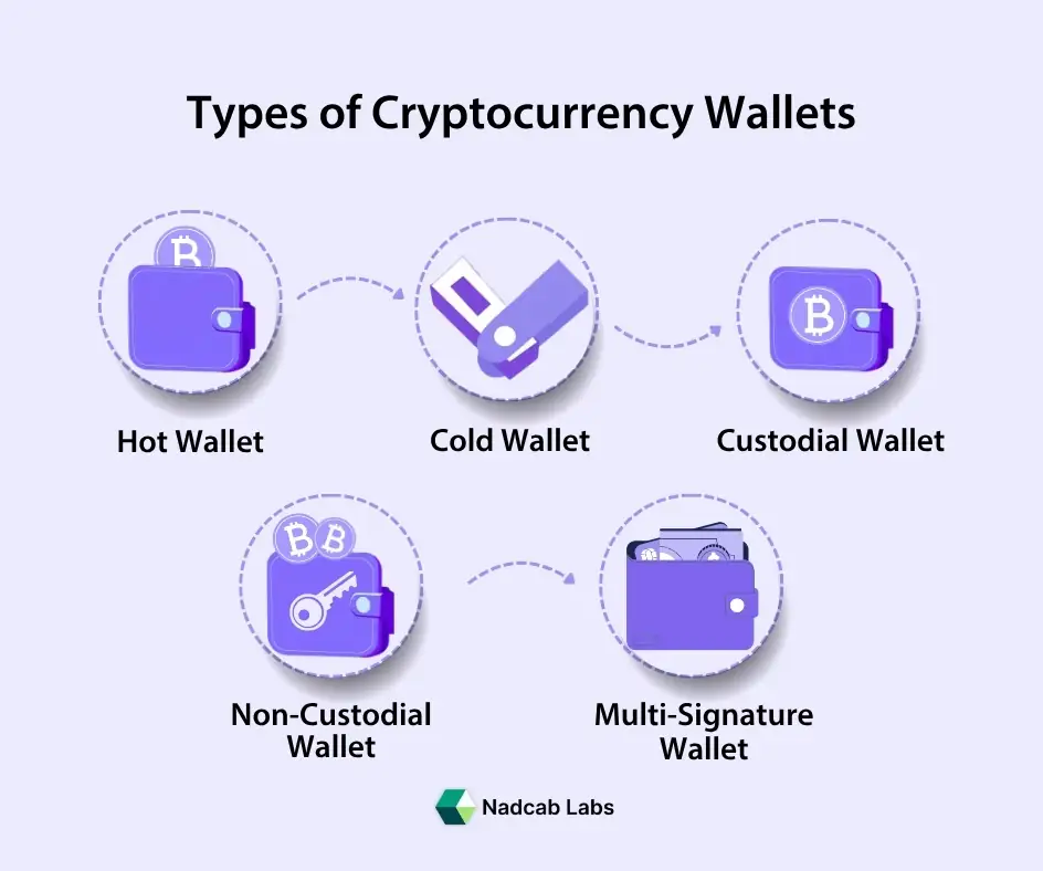 Infographic showing different types of cryptocurrency wallets