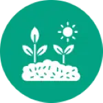 Agriculture Crypto Token